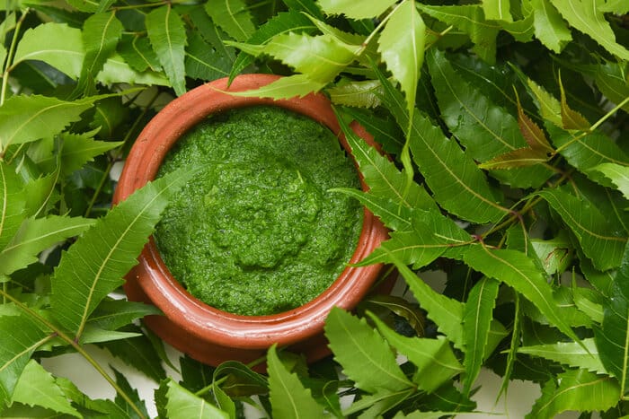 Neem Powder Benefits