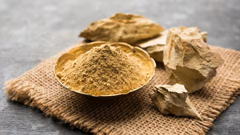 Neem Powder Benefits