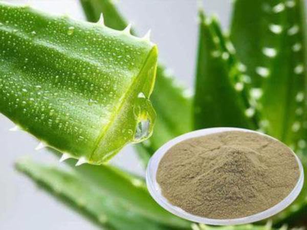 Neem Powder Benefits